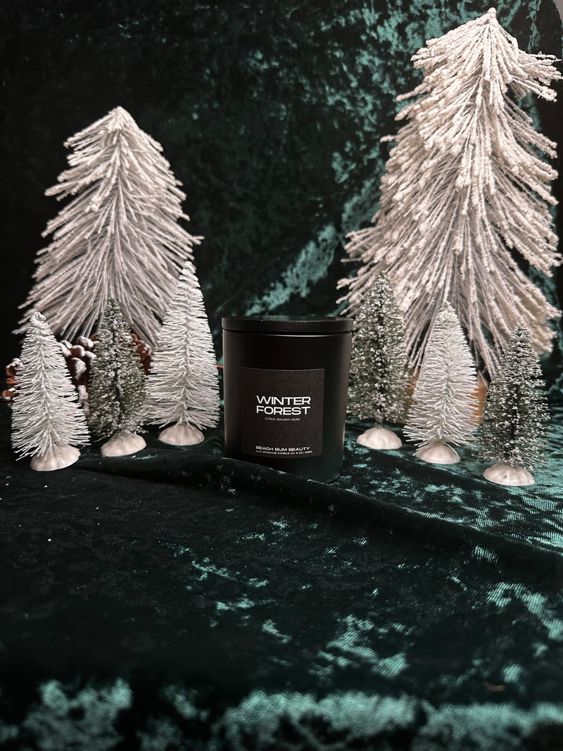 Winter Forest
