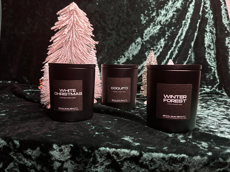 Winter Forest